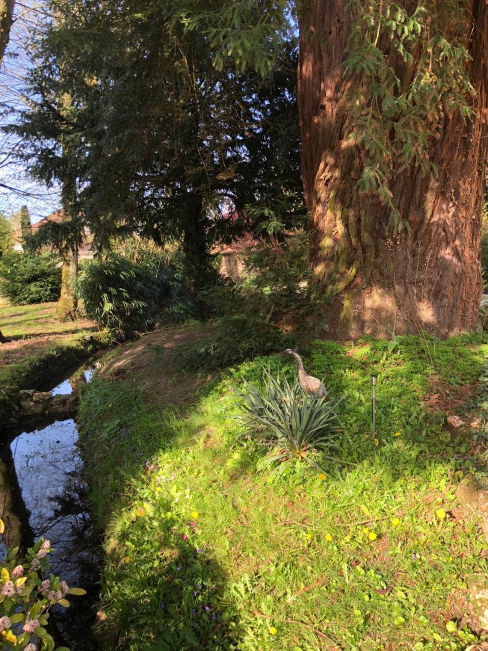 La Villa Rochette Forges-les-Bains エクステリア 写真