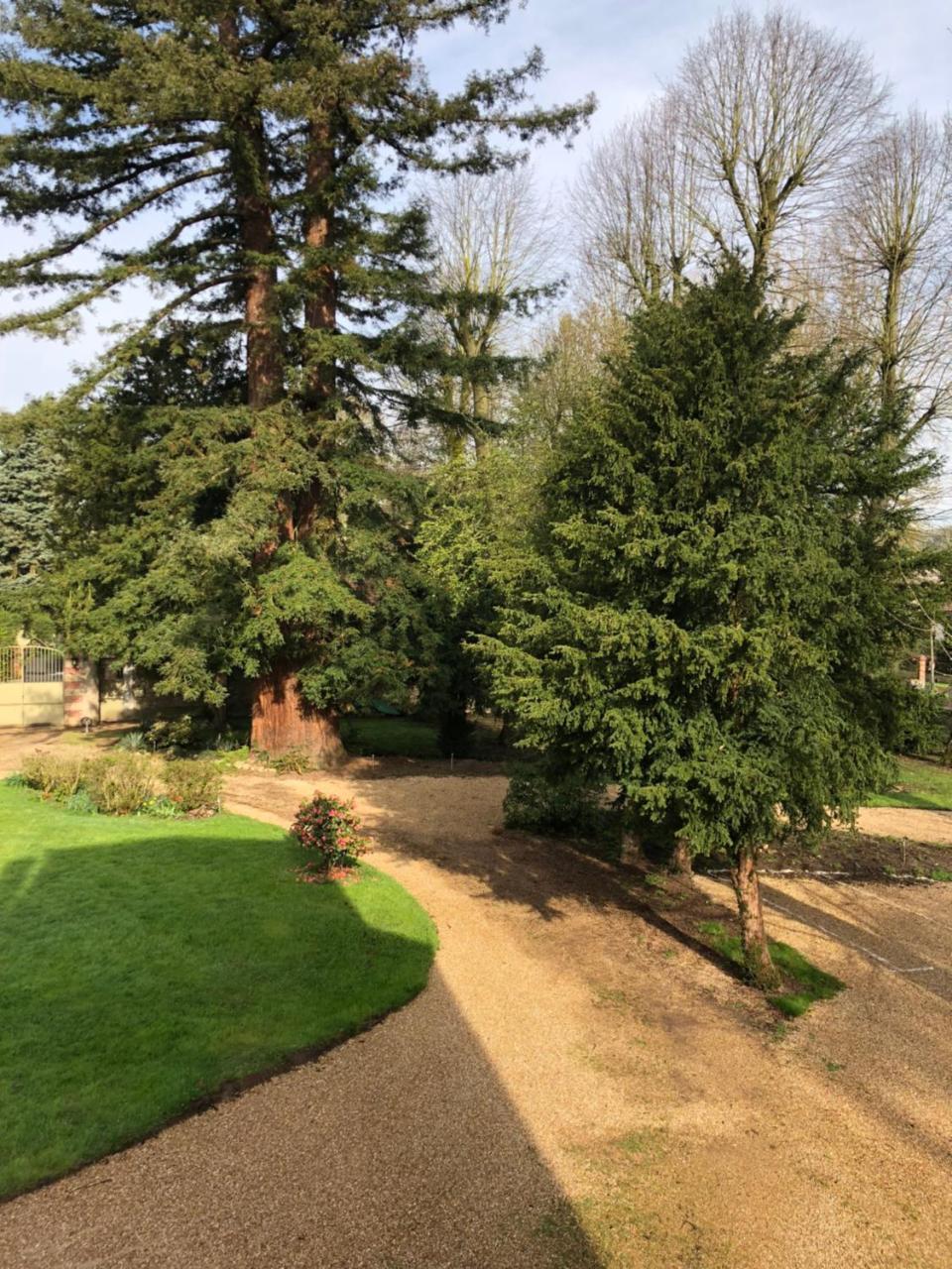 La Villa Rochette Forges-les-Bains エクステリア 写真