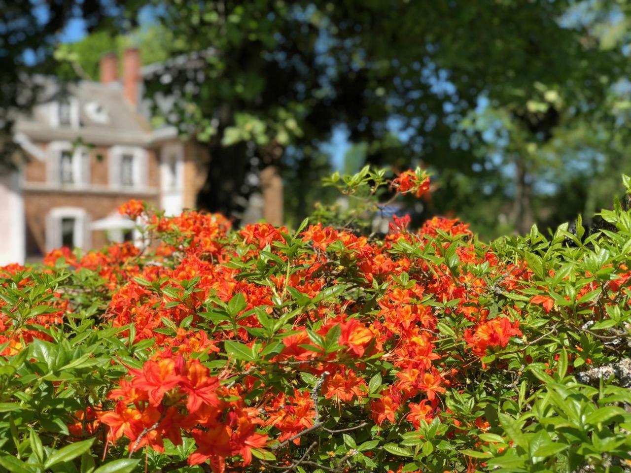 La Villa Rochette Forges-les-Bains エクステリア 写真