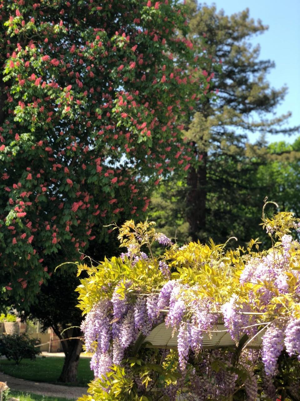 La Villa Rochette Forges-les-Bains エクステリア 写真