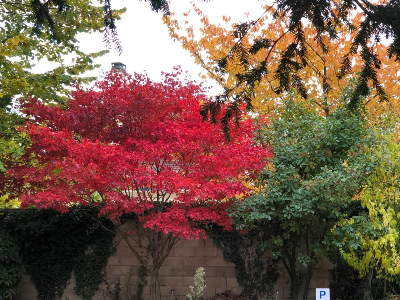 La Villa Rochette Forges-les-Bains エクステリア 写真