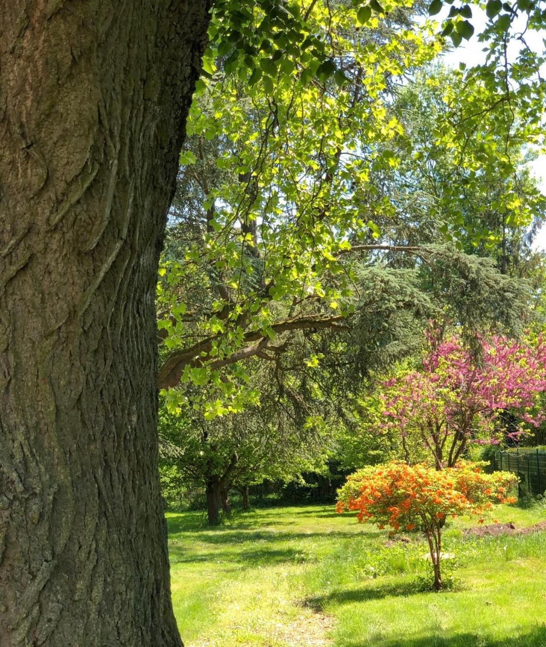 La Villa Rochette Forges-les-Bains エクステリア 写真