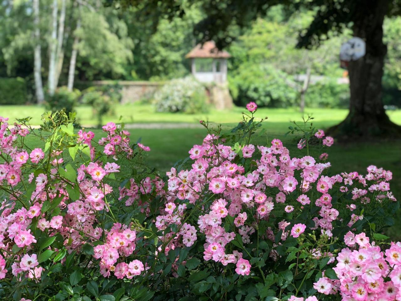 La Villa Rochette Forges-les-Bains エクステリア 写真