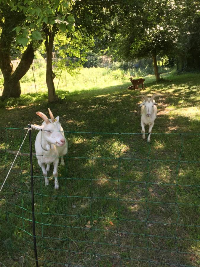 La Villa Rochette Forges-les-Bains エクステリア 写真